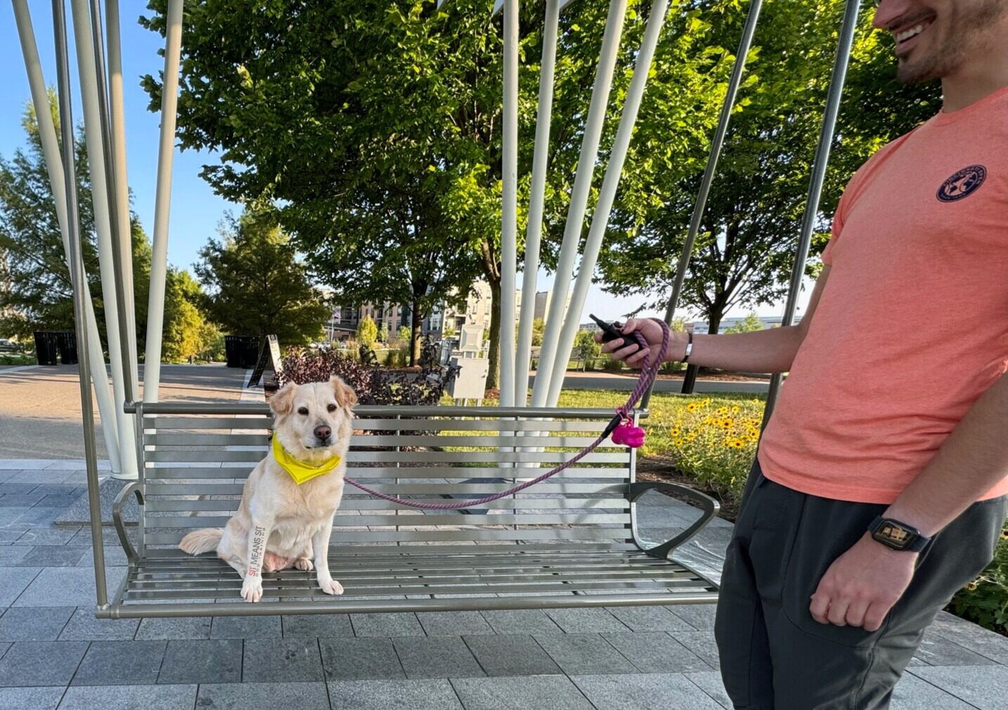 Dog sitting on bench with trainer standing next to them