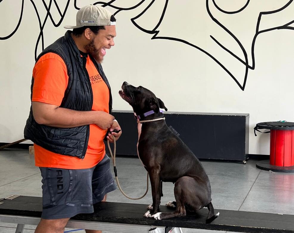 Dog trainer smiling at dog during 1:1 training