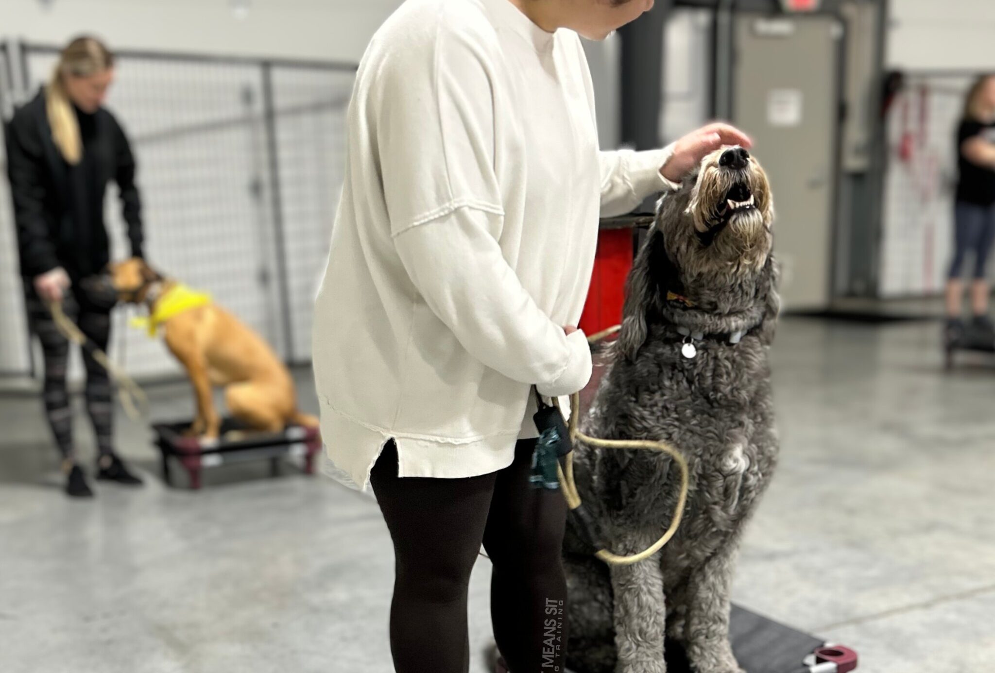 Dog working on placing during 1:1 training