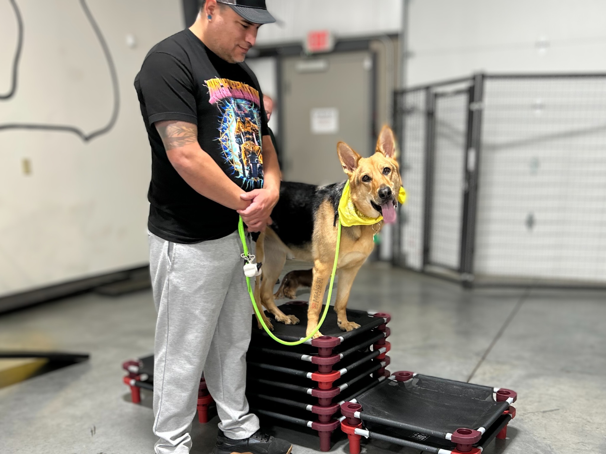 Dog with owner during 1:1 training