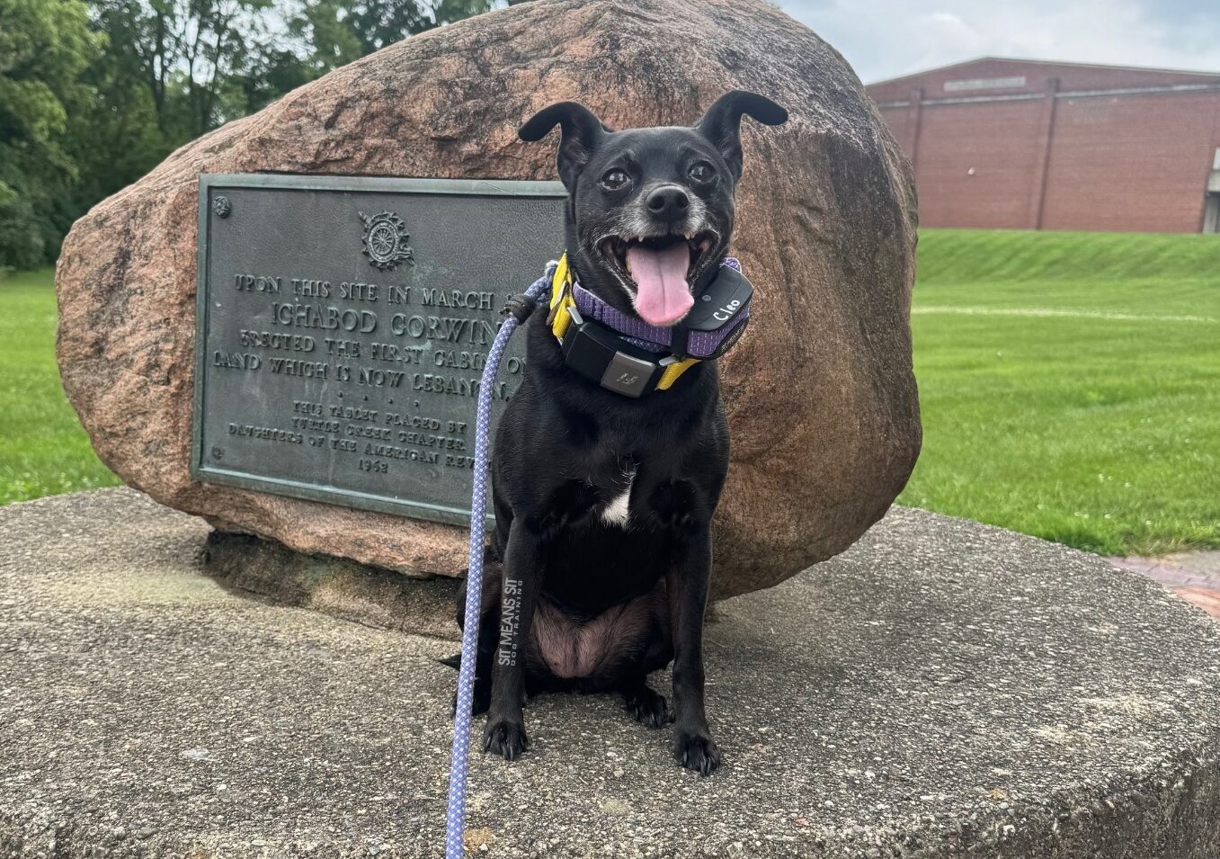 Dog posing in front of monument in Ohio