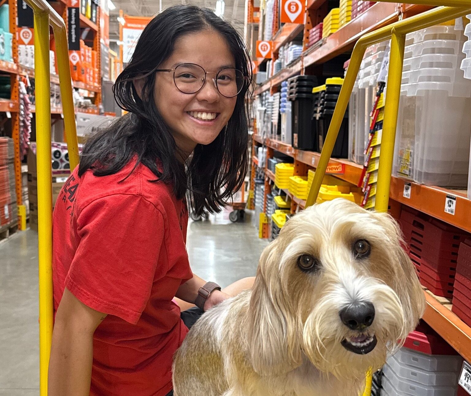 Dog owner practicing socialization training at home depot