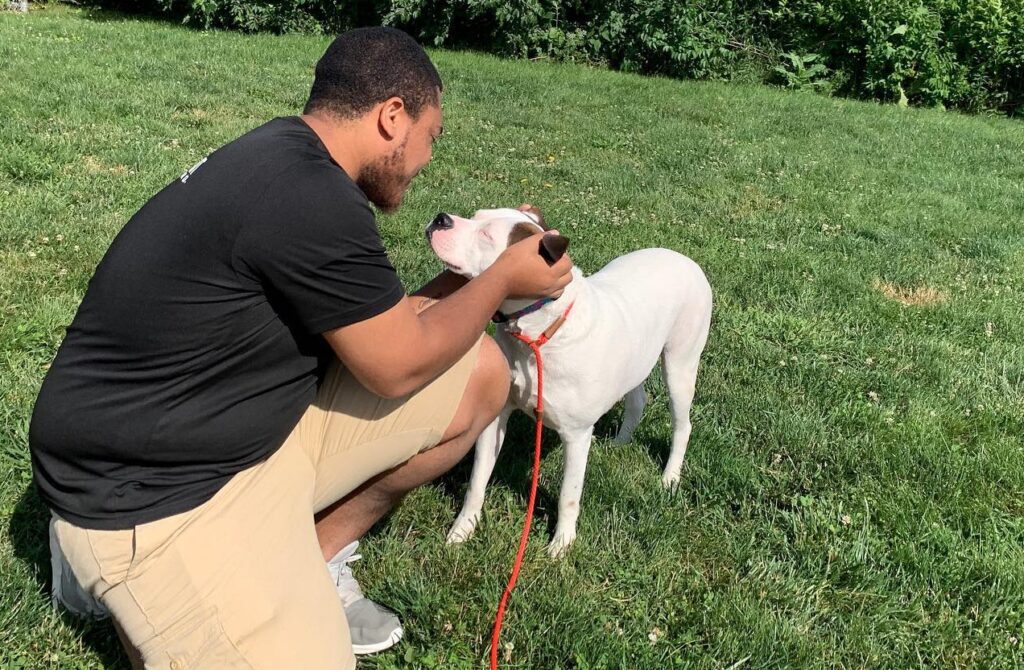 Sit Means Sit trainer giving head scratches to dog