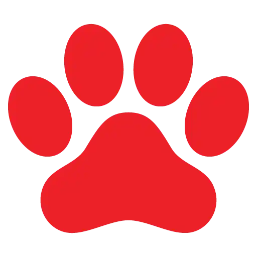 Sit Means Sit Favicon Logo