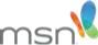 MSN Logo