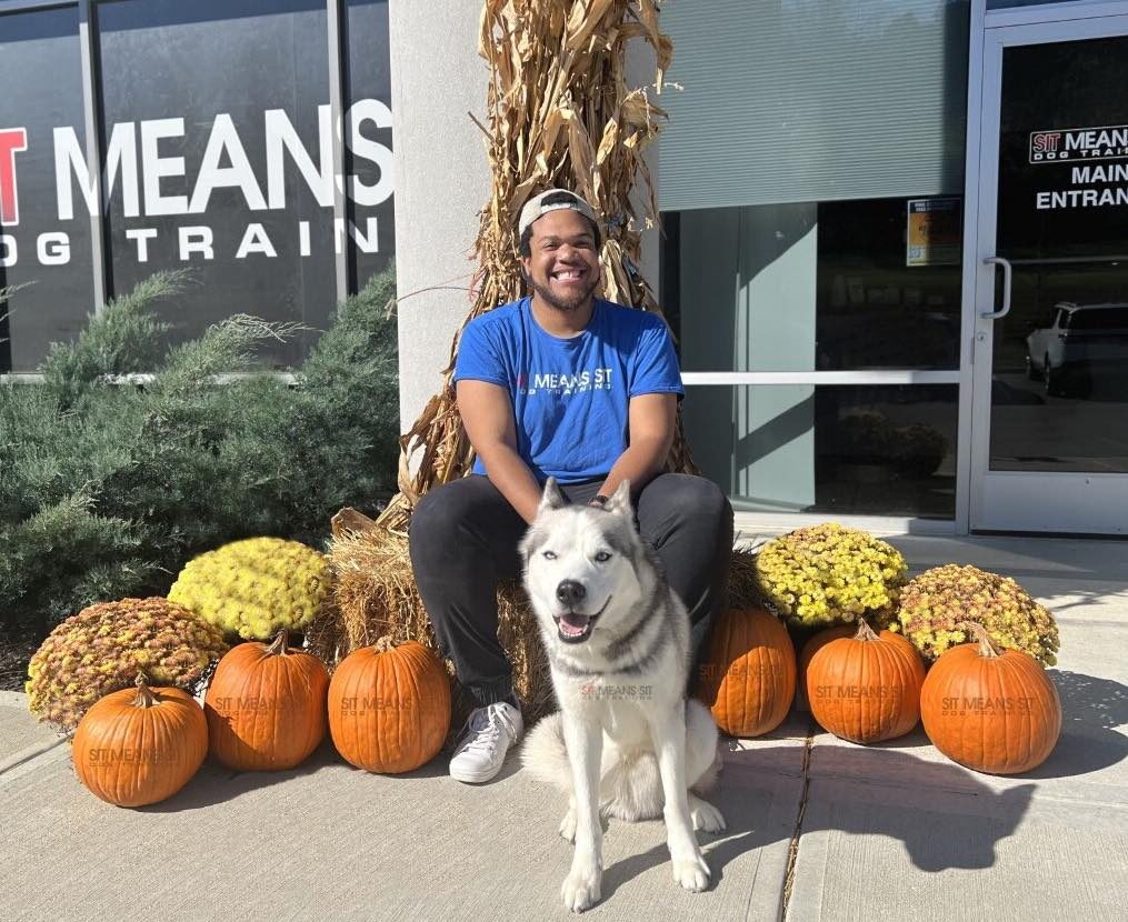 CJ, a Sit Means Sit trainer with his siberian husky