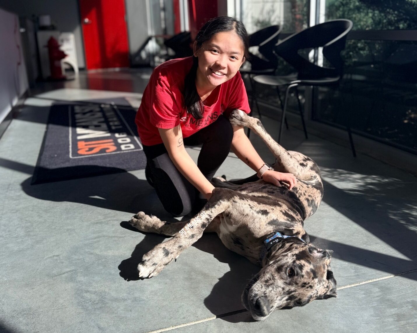 Sit Means Sit Trainer giving dog a belly rub